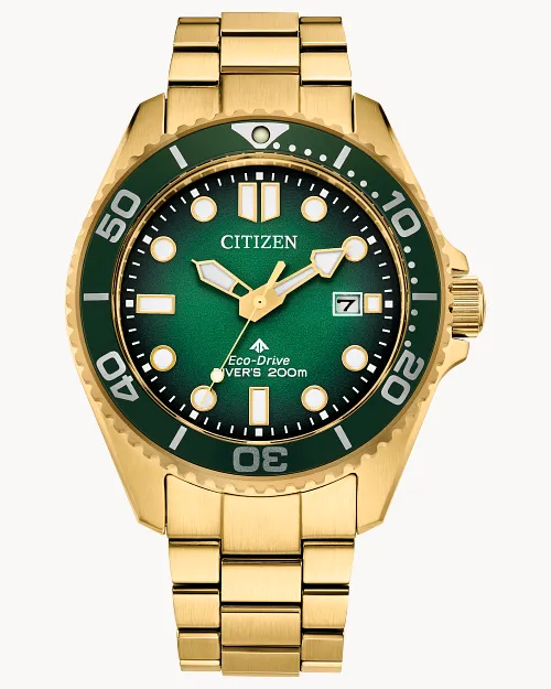 Promaster Dive Green Dial Stainless Steel Bracelet BN0262-59W Promaster Dive Green Dial Stainless Steel Bracelet BN0262-59W